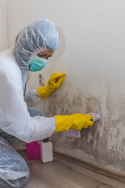 Best Industrial Mold Remediation  in Rancho Santa Margarita, CA