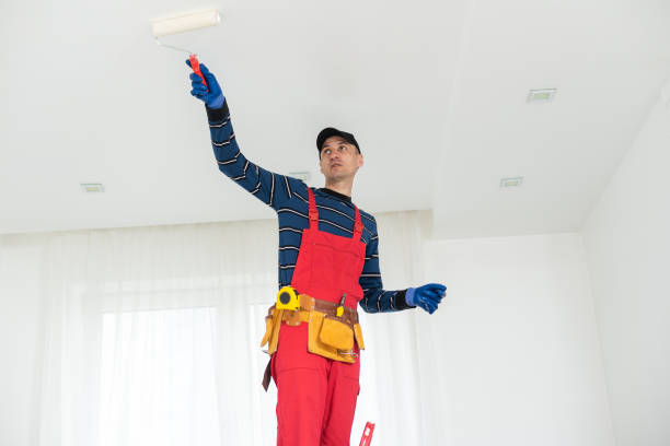 Best Post-Construction Mold Inspection  in Rancho Santa Margarita, CA